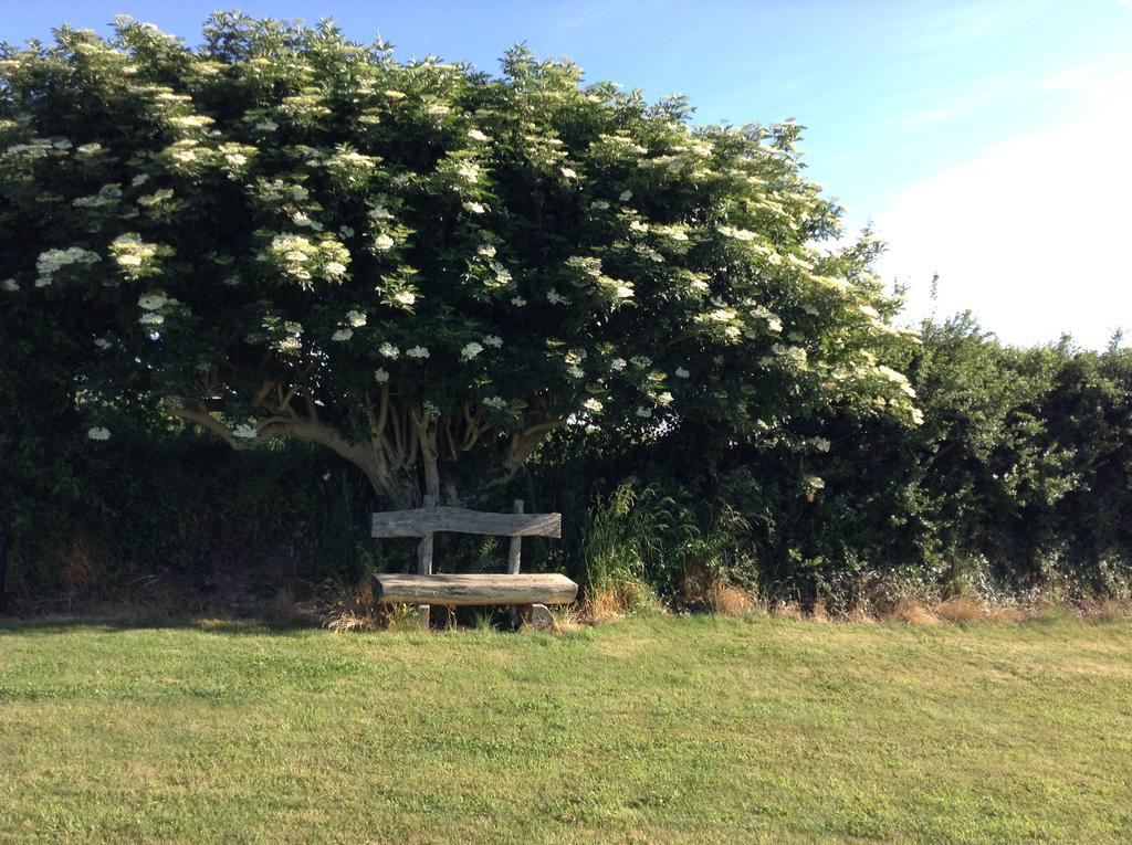 Deeside Manor Bed & Breakfast Stabannan Dış mekan fotoğraf